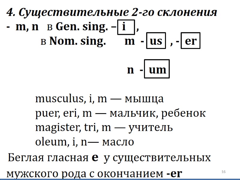4. Существительные 2-го склонения  -  m, n   в Gen. sing.